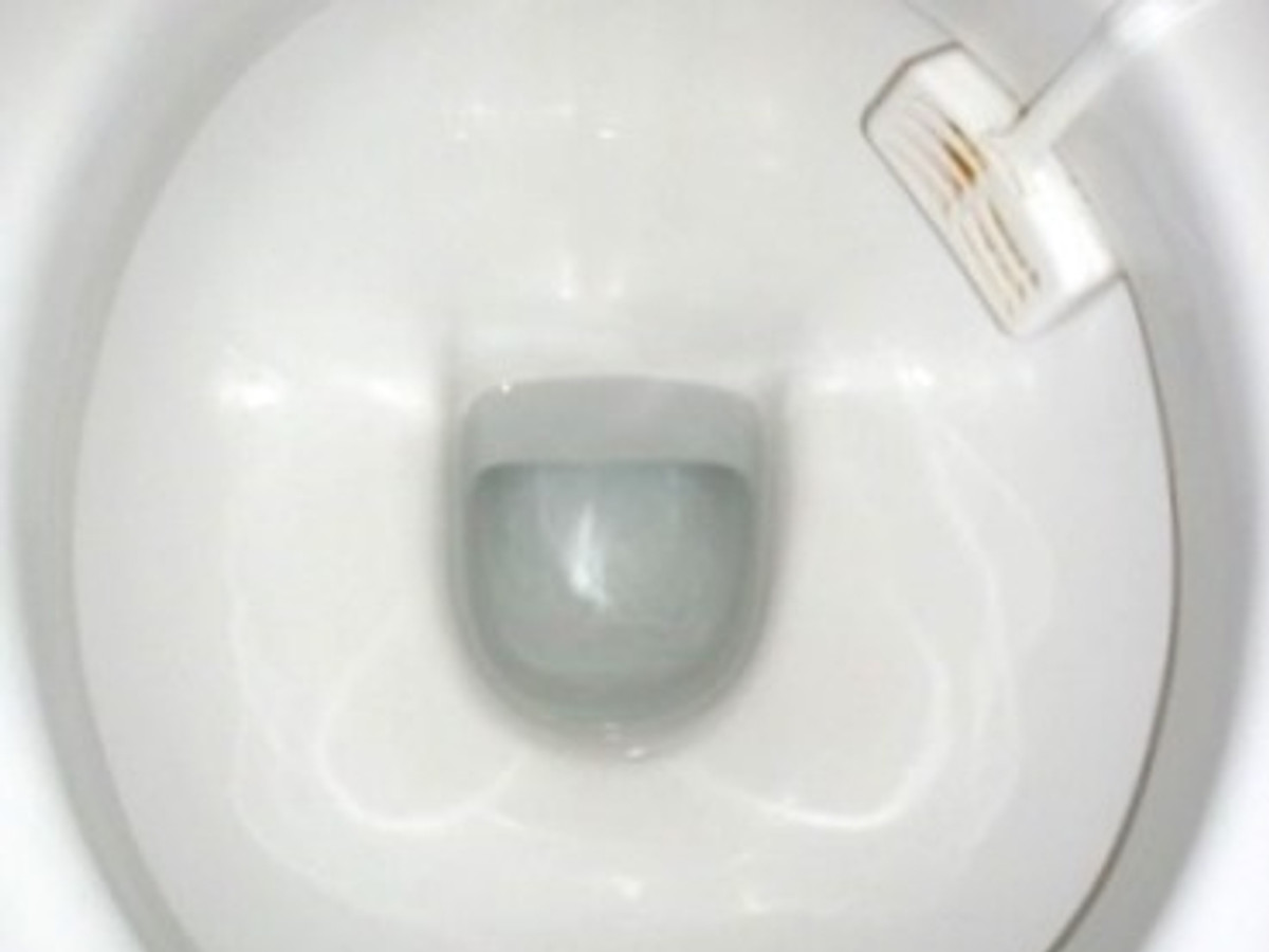 ATTENZIONE... GABBIETTE WC ALLERT...